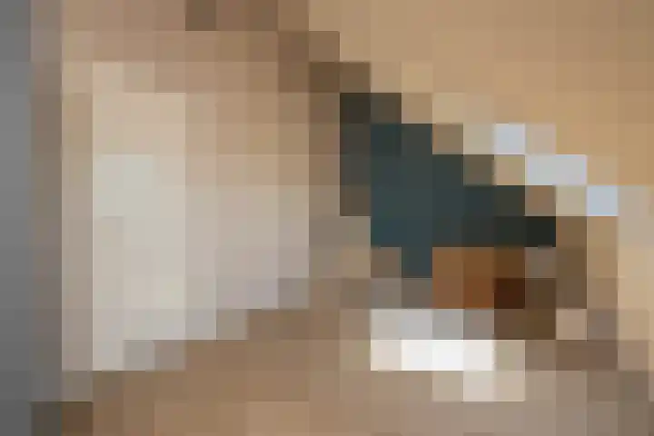 Liberstraat 3 Naaldwijk thumbnail 39