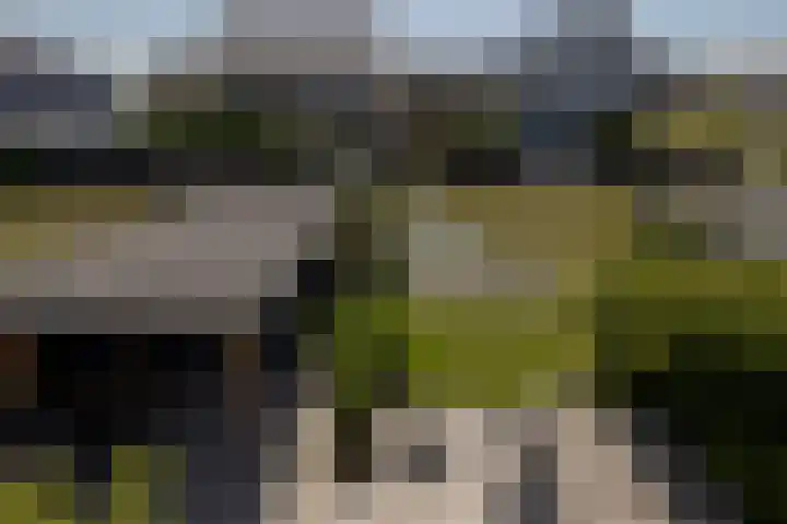 Liberstraat 3 Naaldwijk thumbnail 41