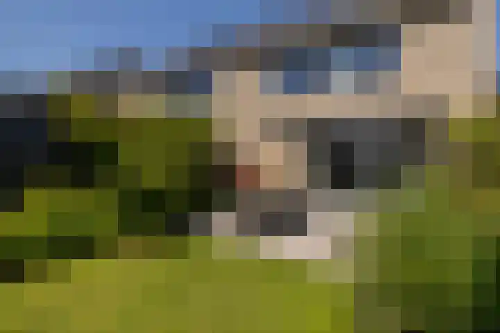 Liberstraat 3 Naaldwijk thumbnail 44