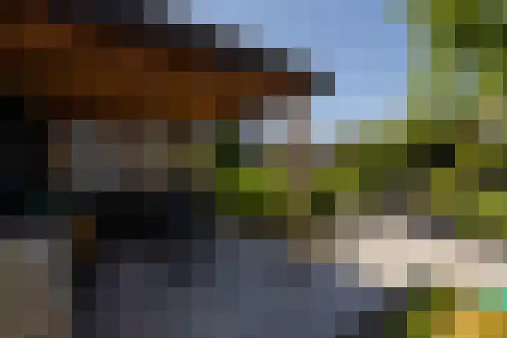Liberstraat 3 Naaldwijk thumbnail 45