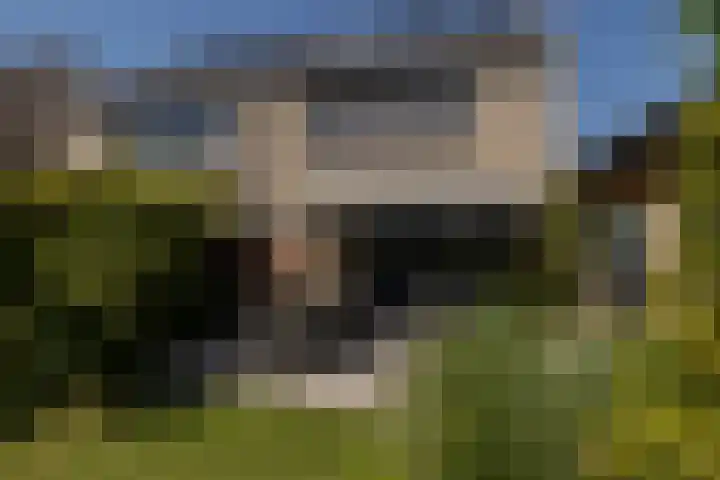 Liberstraat 3 Naaldwijk thumbnail 47