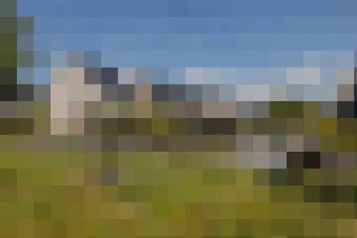 Liberstraat 3 Naaldwijk thumbnail 48