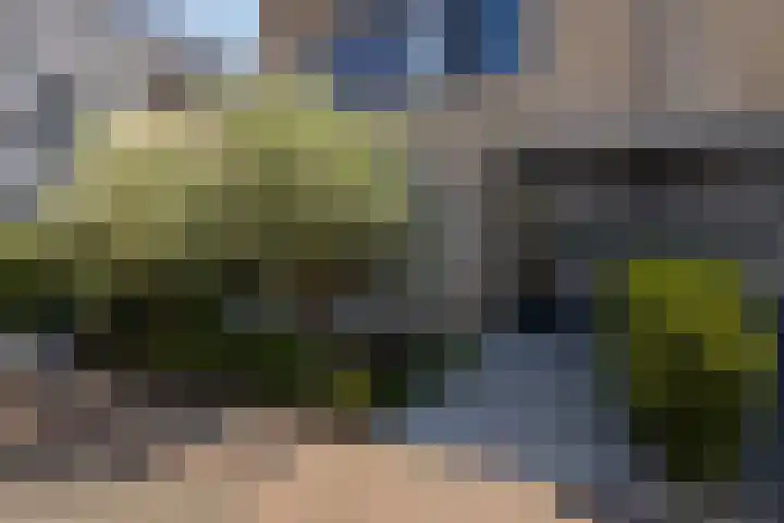 Liberstraat 3 Naaldwijk thumbnail 5