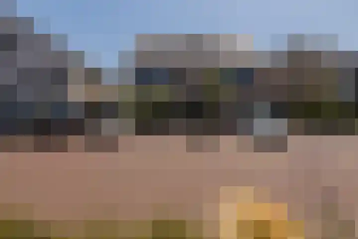 Liberstraat 3 Naaldwijk thumbnail 52