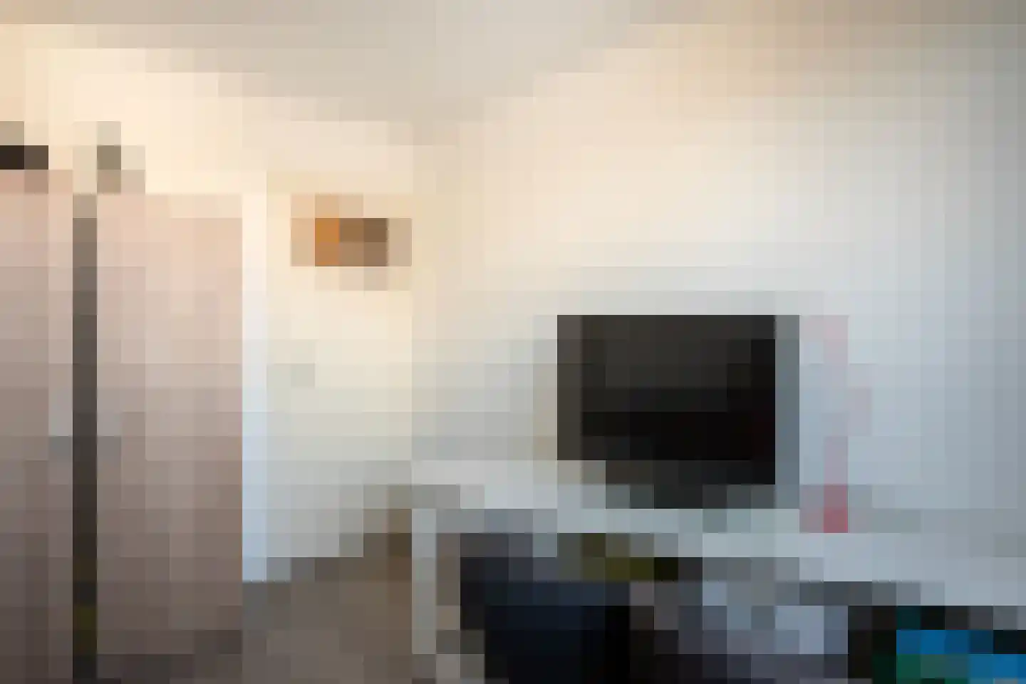 Libra 1 Hapert thumbnail 26