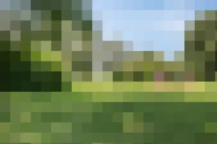 Libra 1 Hapert thumbnail 29