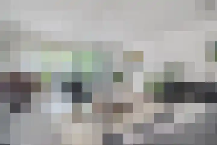 Librije 13 Capelle aan den IJssel thumbnail 10