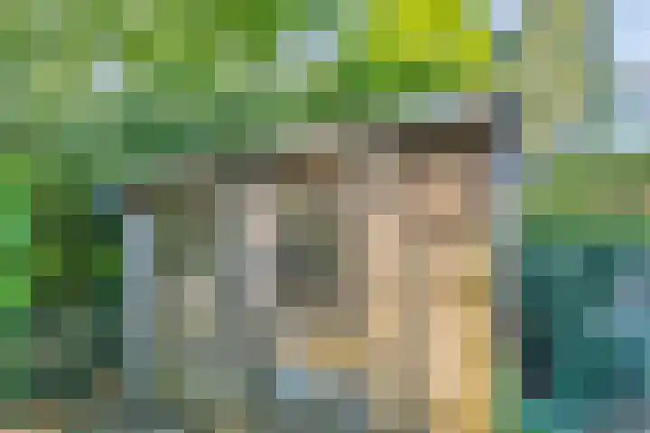 Librije 13 Capelle aan den IJssel thumbnail 12