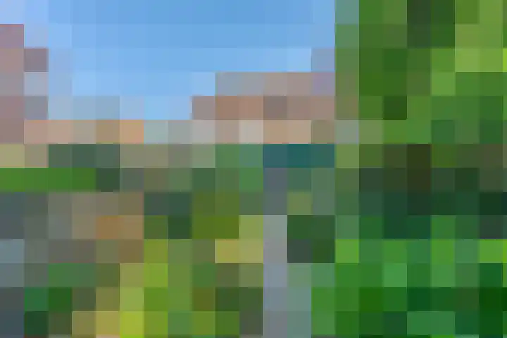 Librije 13 Capelle aan den IJssel thumbnail 13