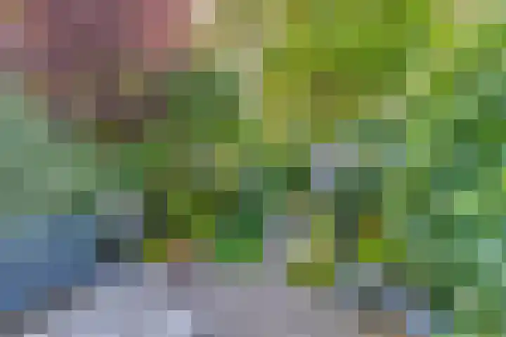 Librije 13 Capelle aan den IJssel thumbnail 15