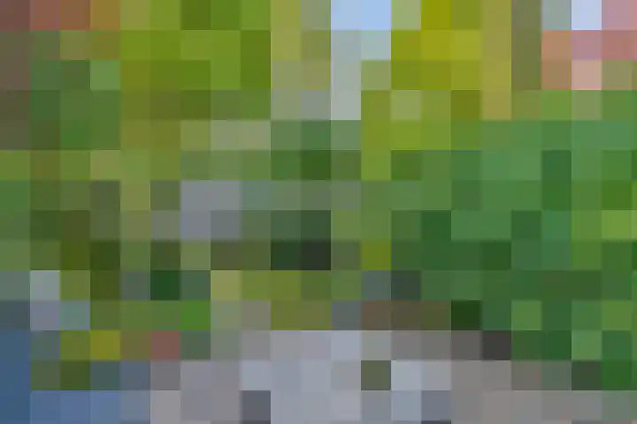 Librije 13 Capelle aan den IJssel thumbnail 16
