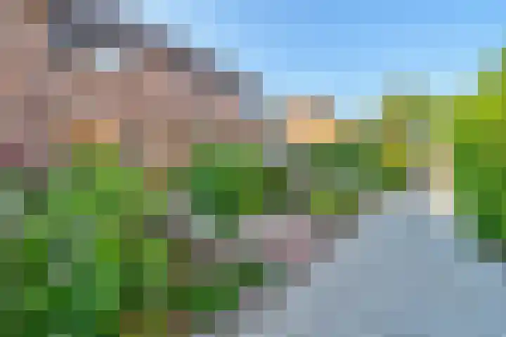 Librije 13 Capelle aan den IJssel thumbnail 25