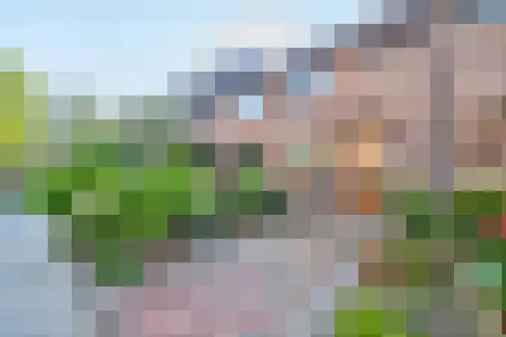 Librije 13 Capelle aan den IJssel thumbnail 5