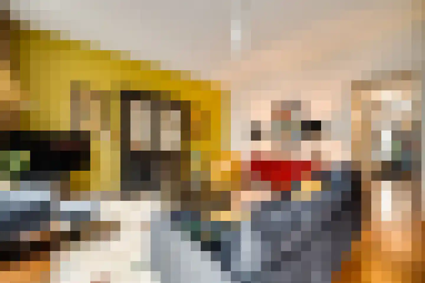 Librije 4 Horst thumbnail 12