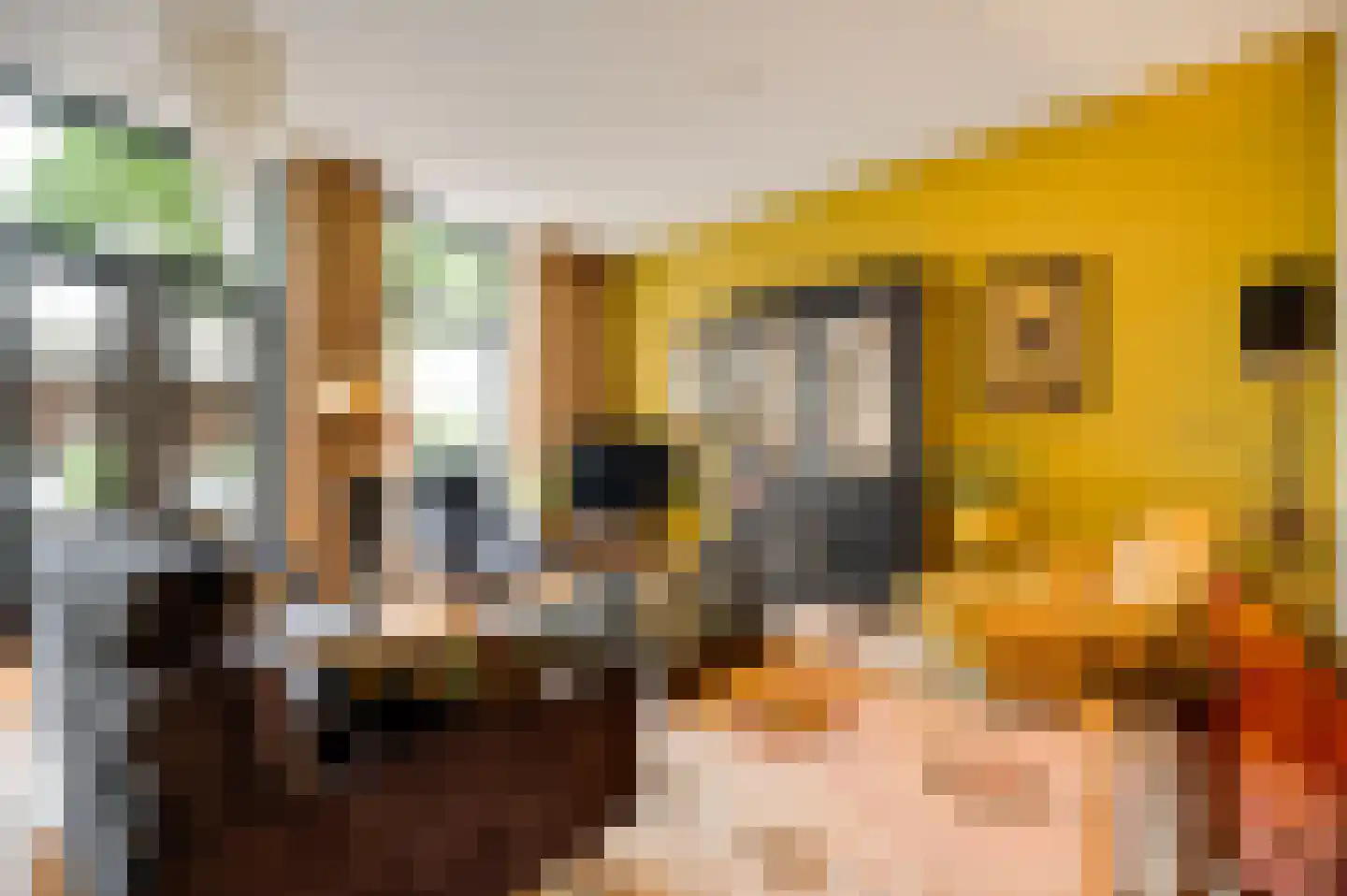 Librije 4 Horst thumbnail 13
