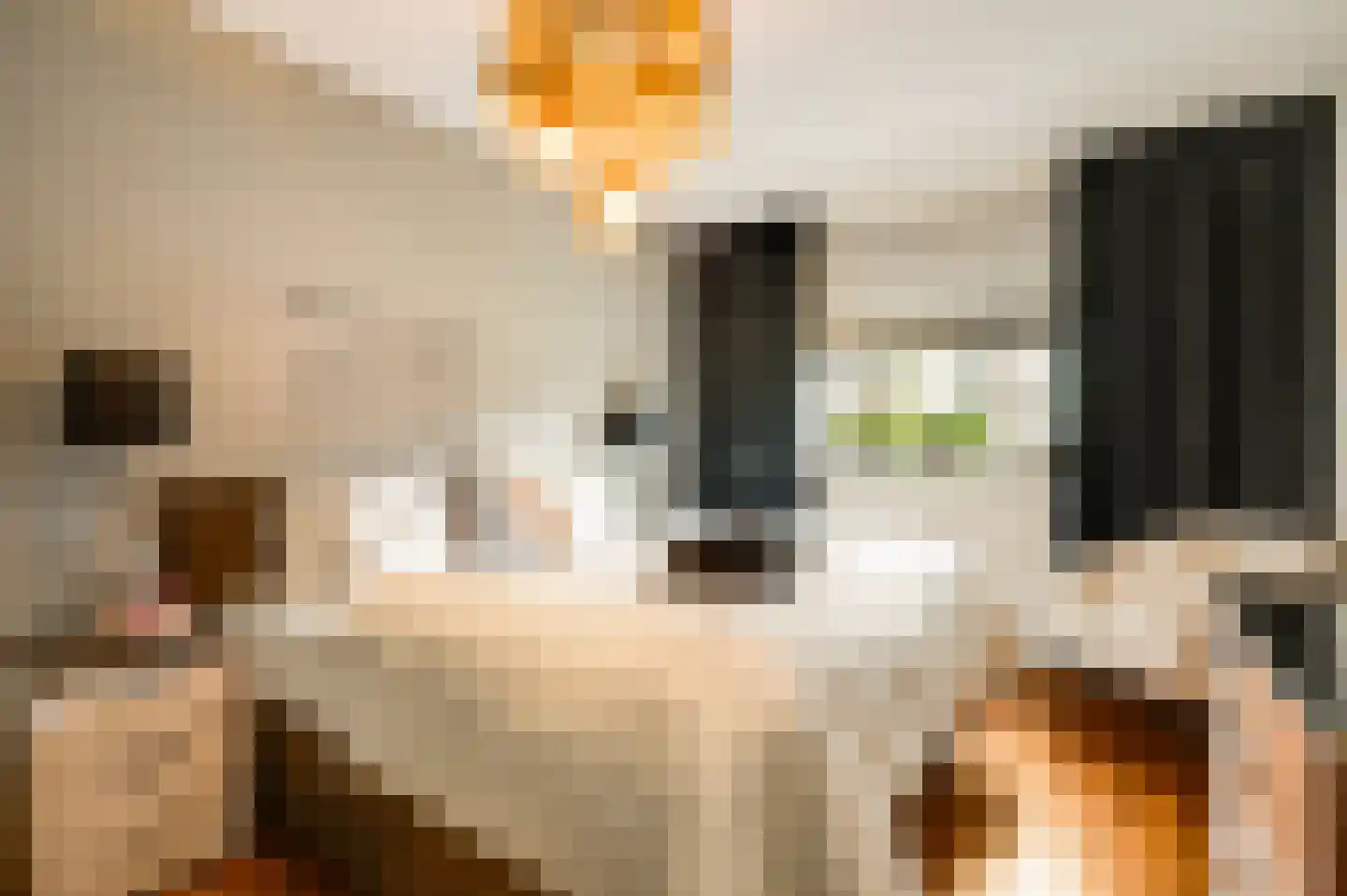 Librije 4 Horst thumbnail 21