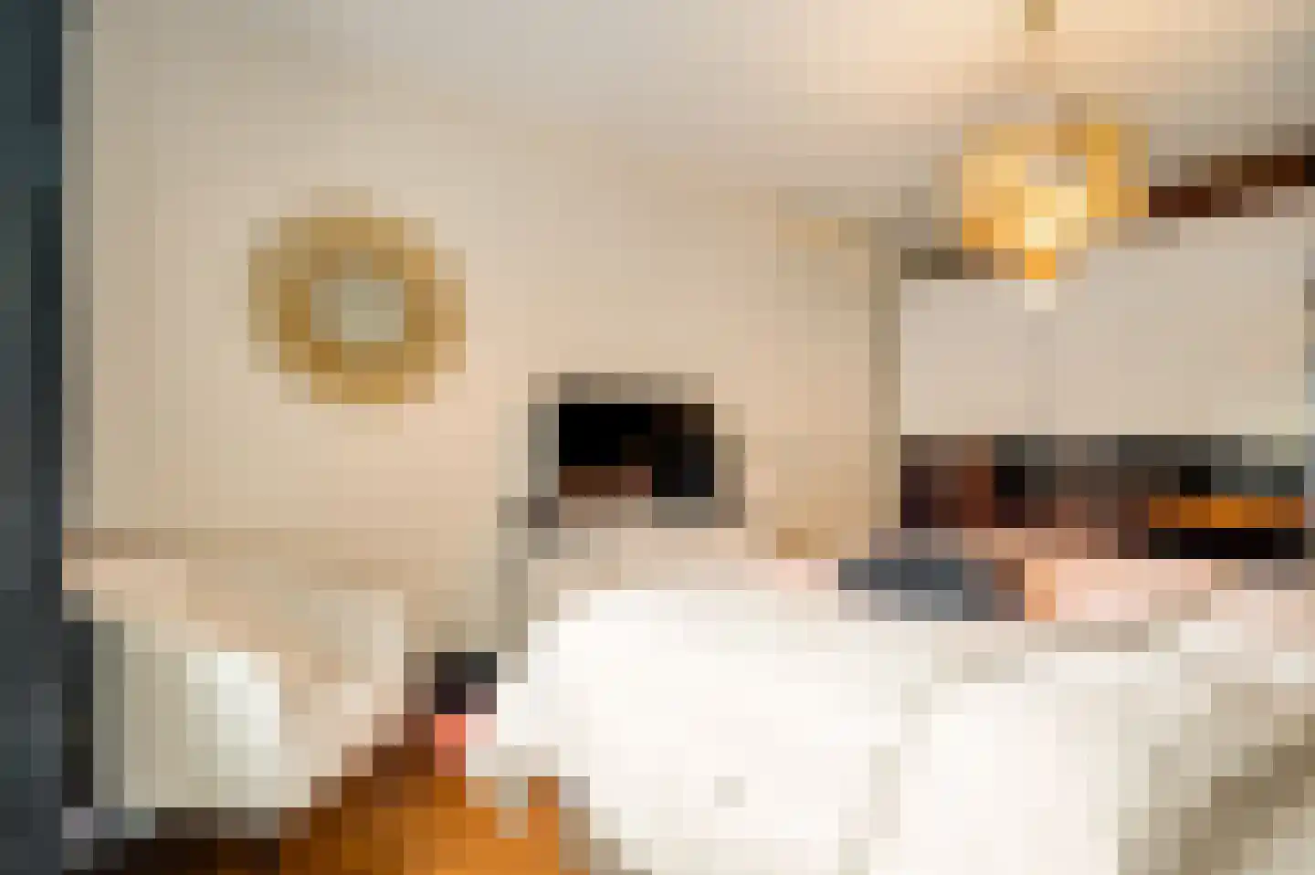 Librije 4 Horst thumbnail 22