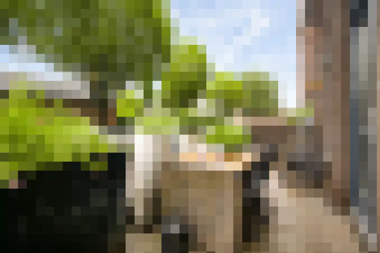 Librije 4 Horst thumbnail 29