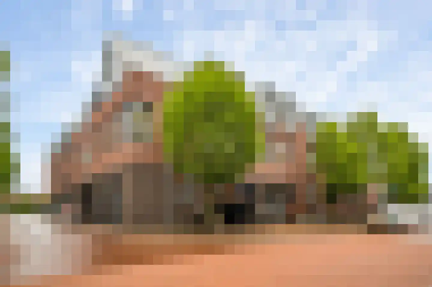 Librije 4 Horst thumbnail 39