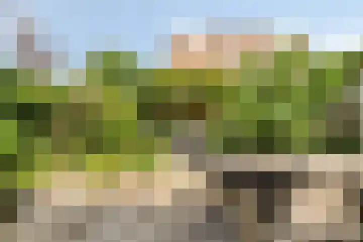 Librije 43 Capelle aan den IJssel thumbnail 10