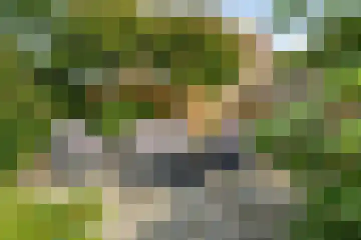 Librije 43 Capelle aan den IJssel thumbnail 11