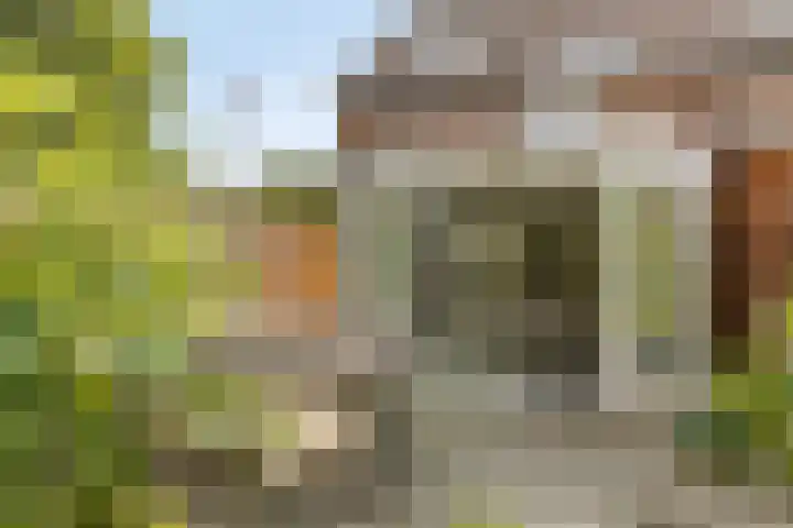 Librije 43 Capelle aan den IJssel thumbnail 13