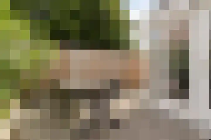 Librije 43 Capelle aan den IJssel thumbnail 14