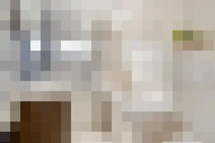 Librije 43 Capelle aan den IJssel thumbnail 31