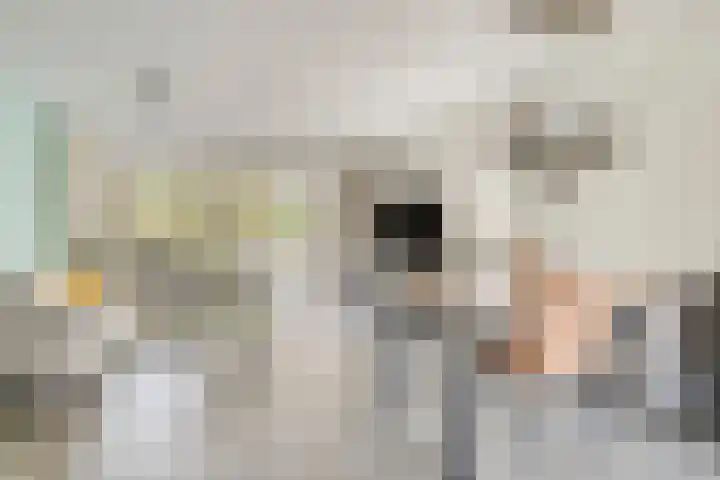 Librije 43 Capelle aan den IJssel thumbnail 4