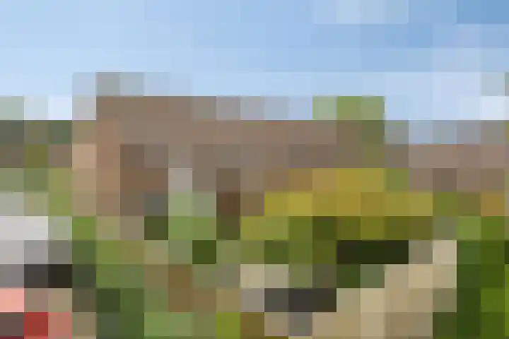 Librije 43 Capelle aan den IJssel thumbnail 43