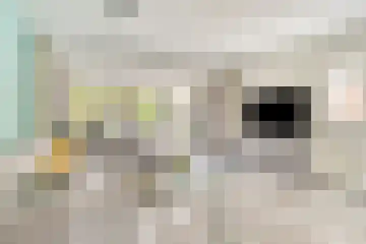 Librije 43 Capelle aan den IJssel thumbnail 6