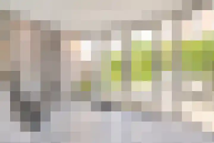 Librije 43 Capelle aan den IJssel thumbnail 8