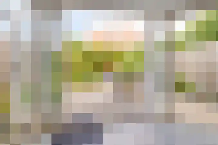 Librije 43 Capelle aan den IJssel thumbnail 9