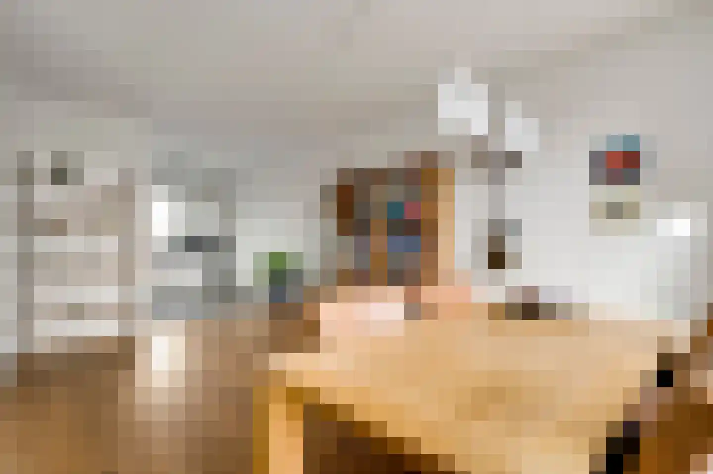 Librije 48 Horst thumbnail 20