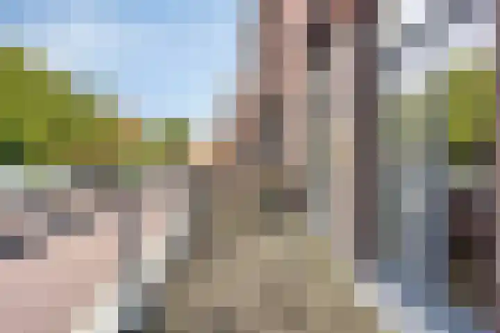 Librije 5 Horst thumbnail 32