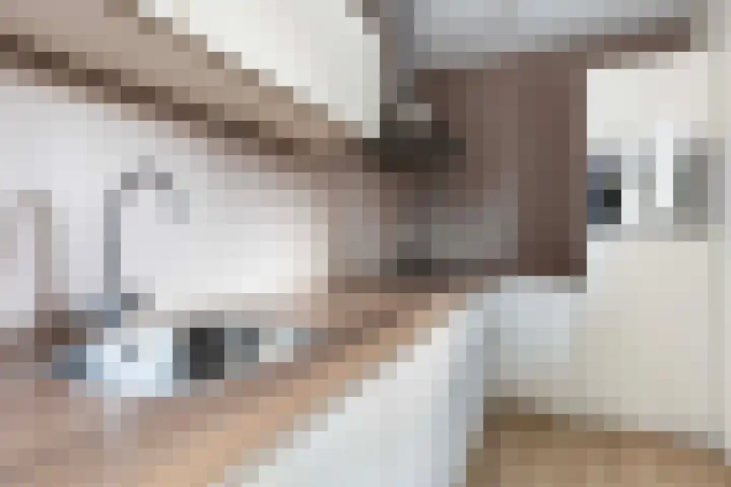 Librije 84 Apeldoorn thumbnail 18