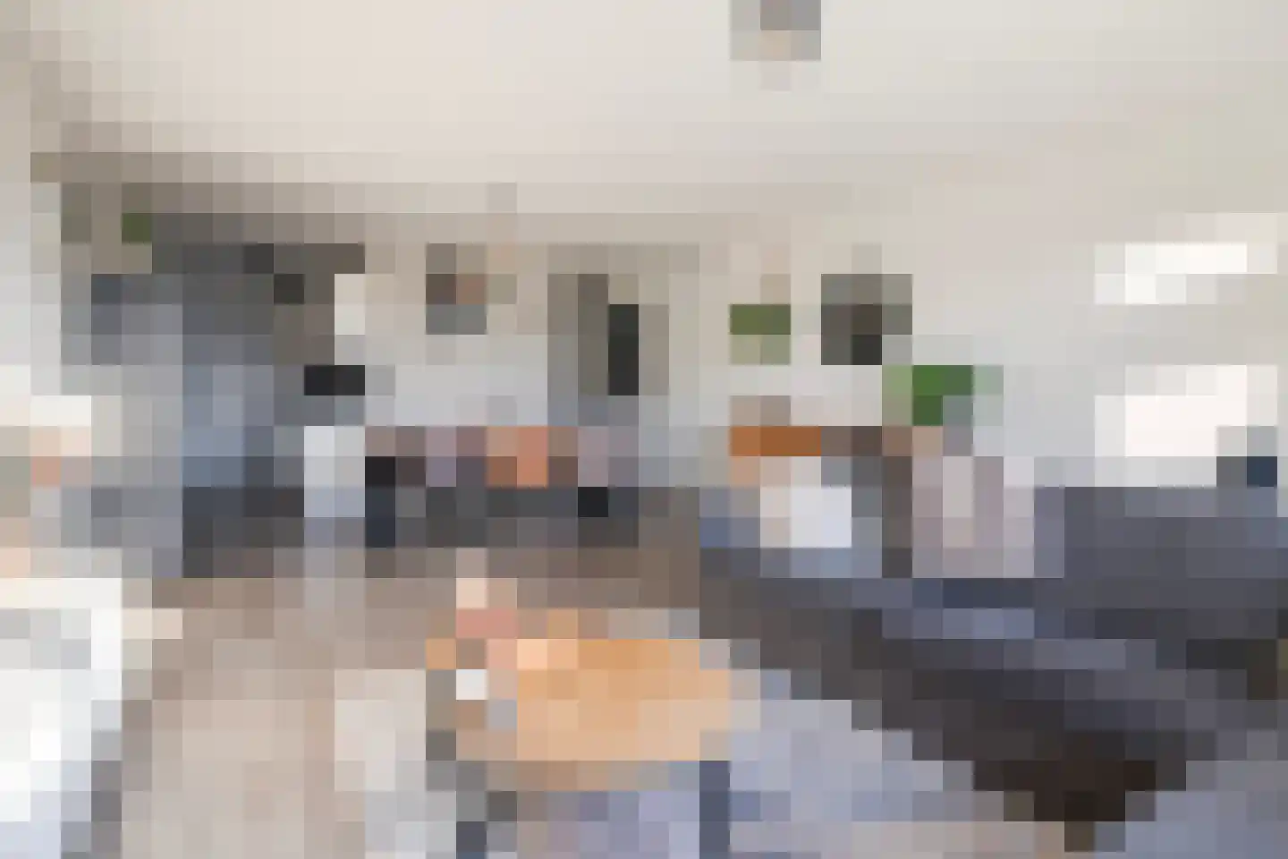 Librije 94 Apeldoorn thumbnail 13