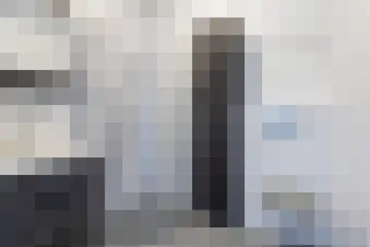 Librije 98 Apeldoorn thumbnail 11