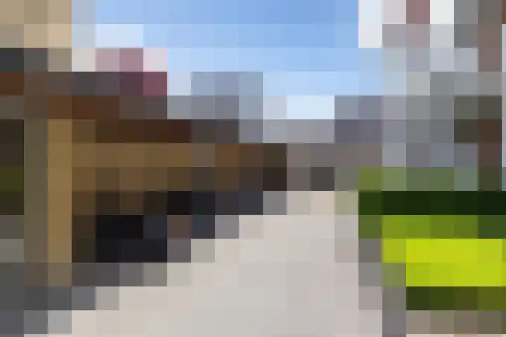 Librije 98 Apeldoorn thumbnail 14