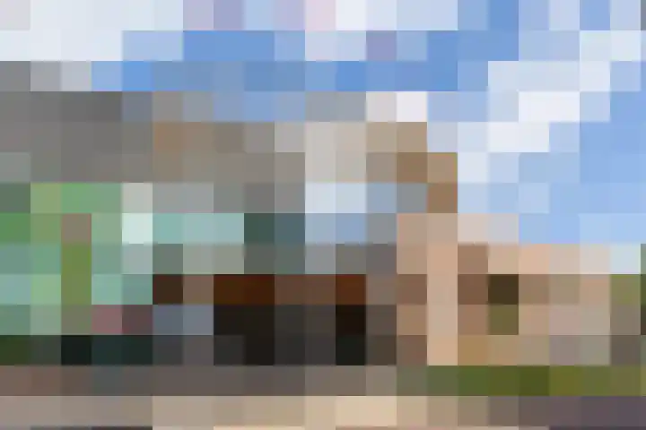 Librije 98 Apeldoorn thumbnail 21