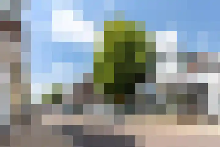 Librije 98 Apeldoorn thumbnail 23