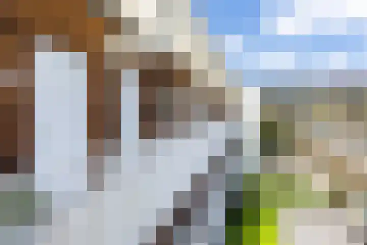 Librije 98 Apeldoorn thumbnail 5