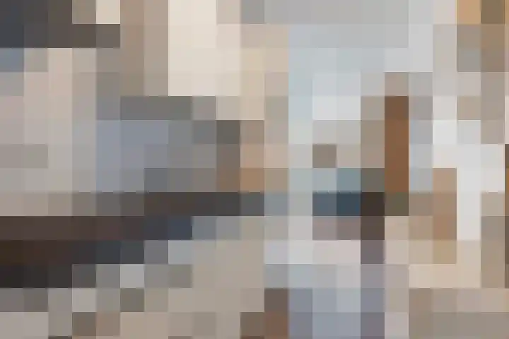 Librije 98 Apeldoorn thumbnail 9