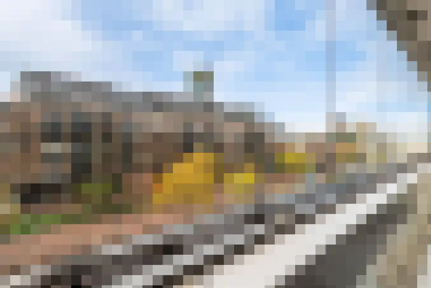 Librijesteeg 167 Rotterdam thumbnail 30