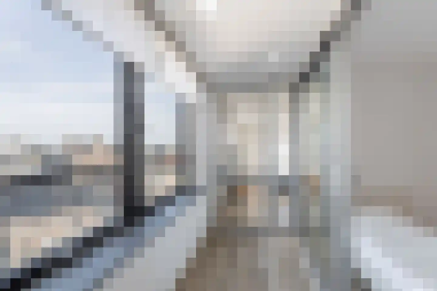 Librijesteeg 239 Rotterdam thumbnail 20