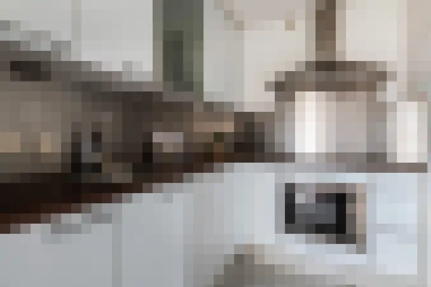 Librijesteeg 259 Rotterdam thumbnail 10