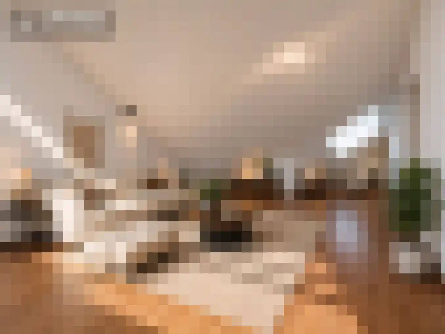 Librijesteeg 273 Rotterdam thumbnail 14