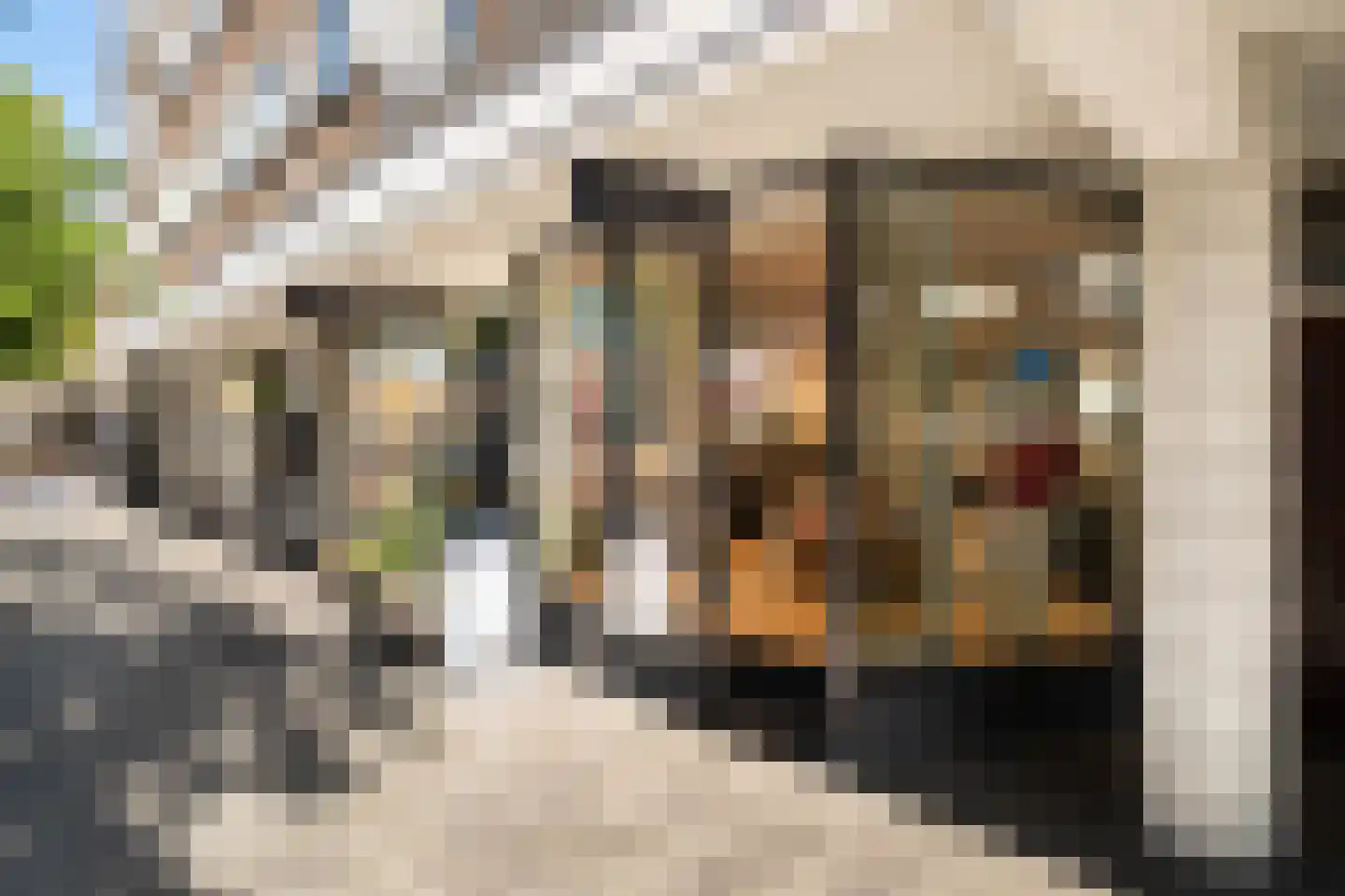 Librijesteeg 273 Rotterdam thumbnail 37