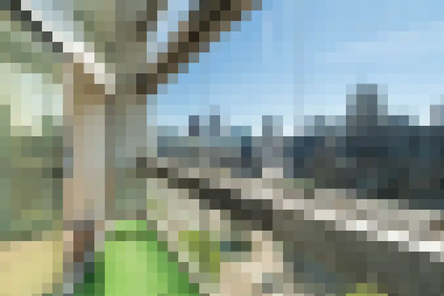 Librijesteeg 273 Rotterdam thumbnail 8