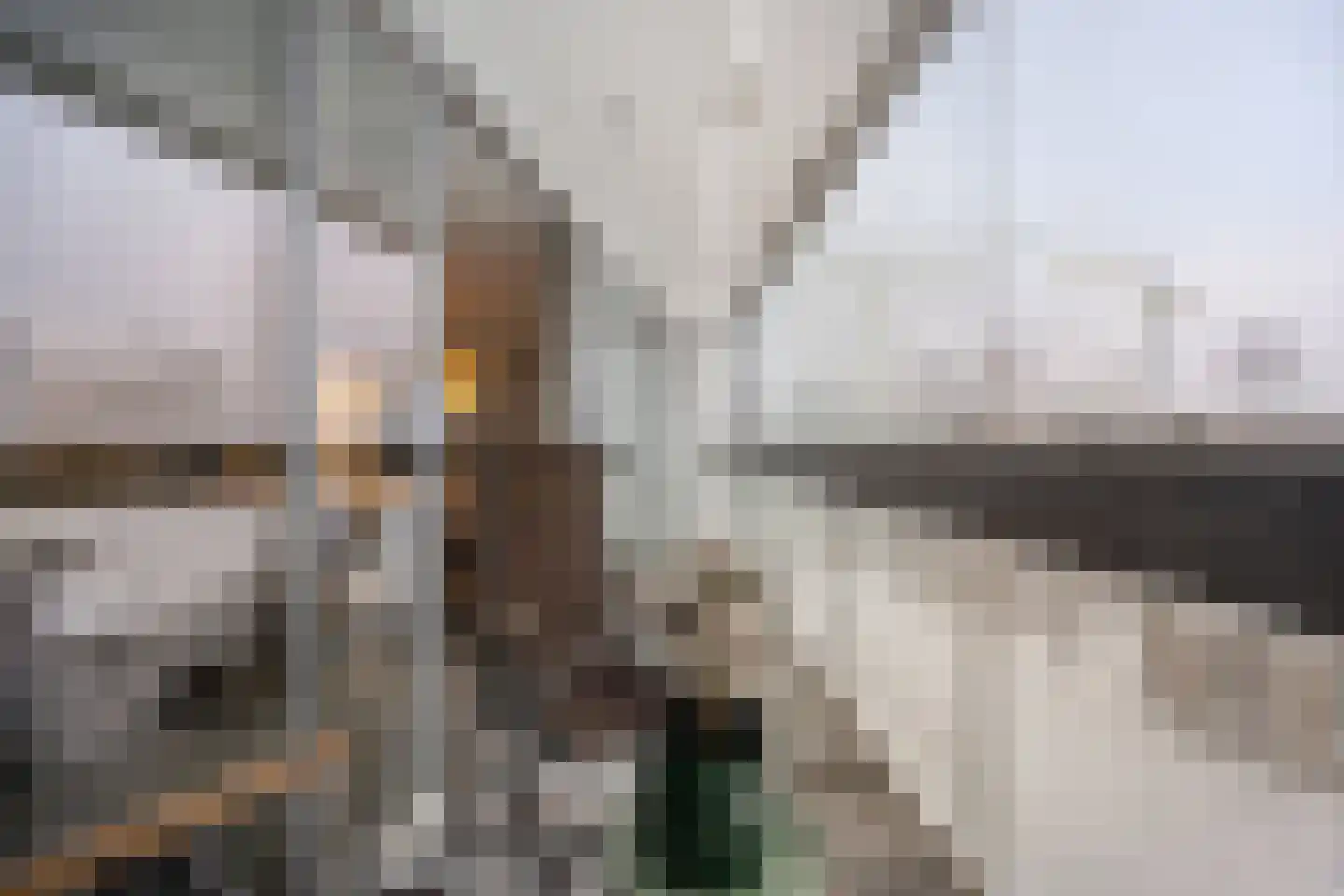 Librijesteeg 301 Rotterdam thumbnail 11